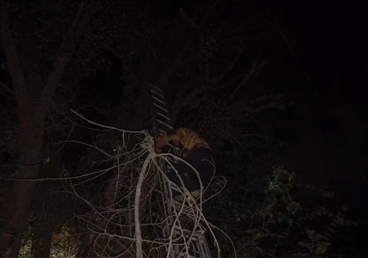 Foto: Energetika vazirligi matbuot xizmati